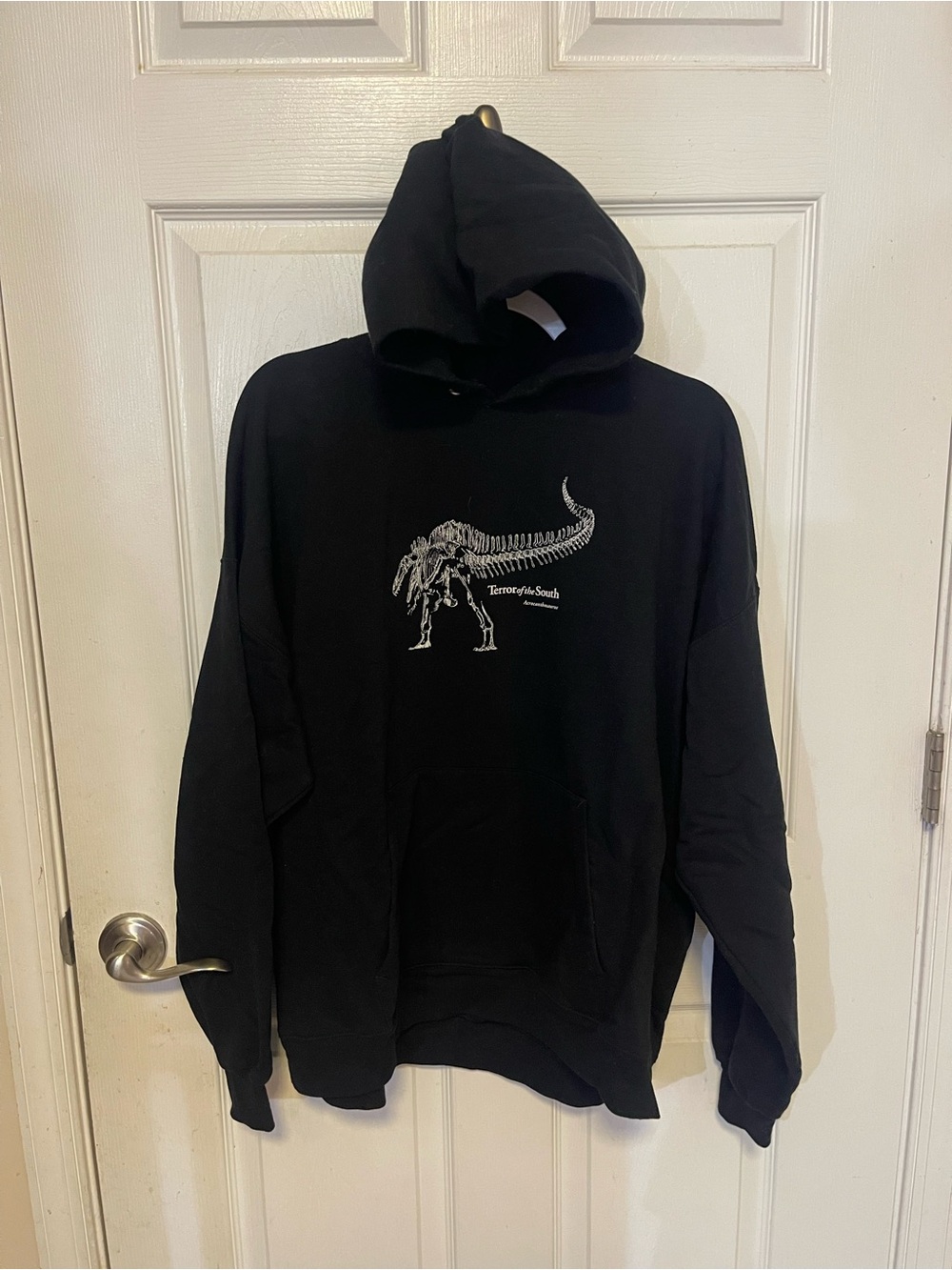 Black Hoodie with Dinosaur Skeleton Graphic
